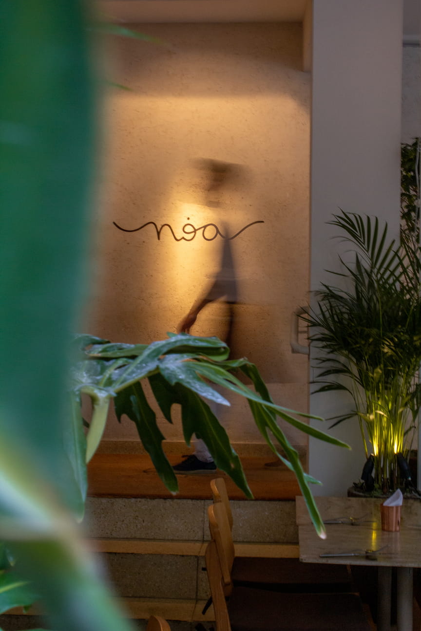 Noa 1
