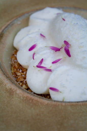 Noa 1
